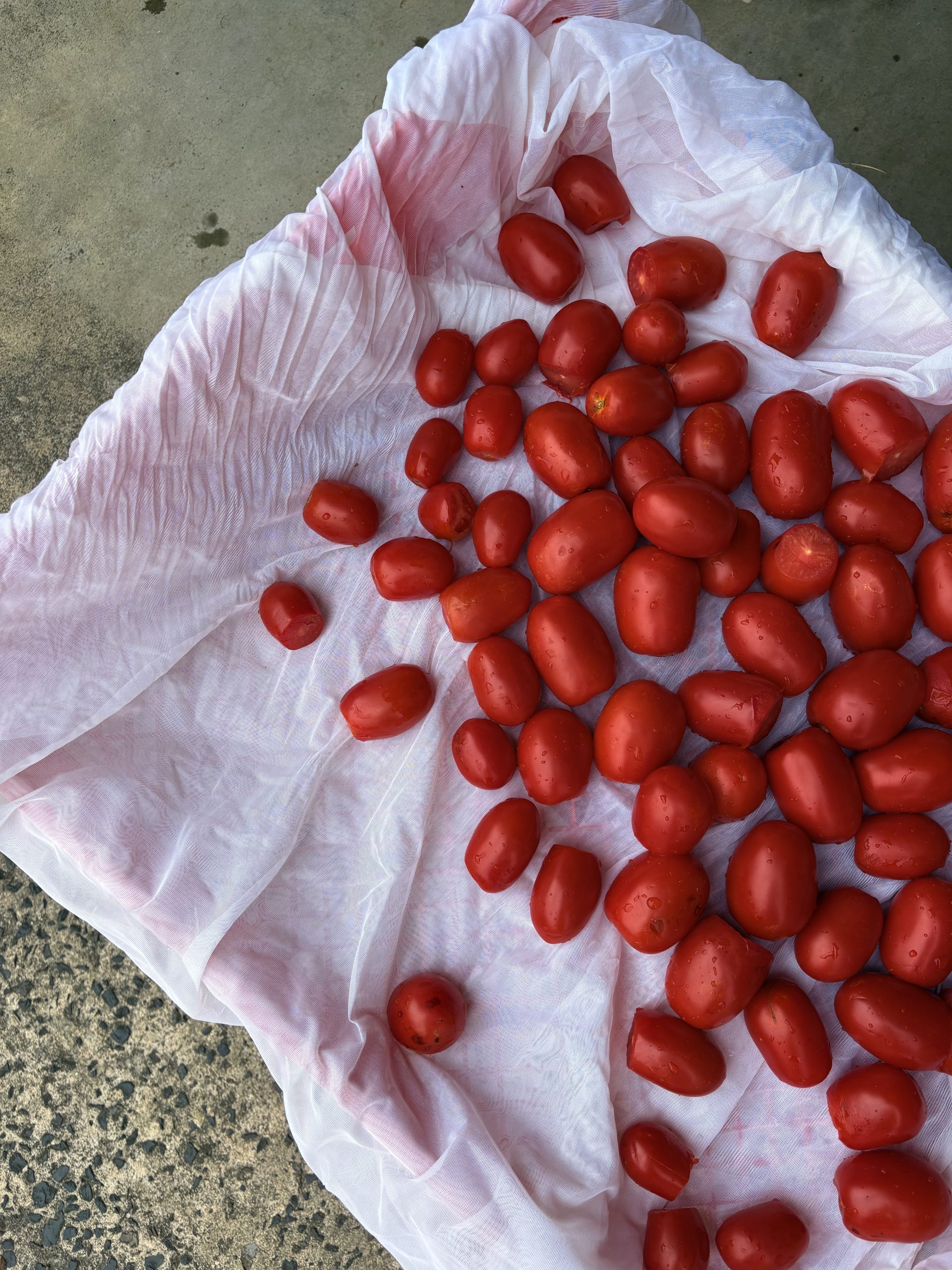 How to make passata, just like nonna did